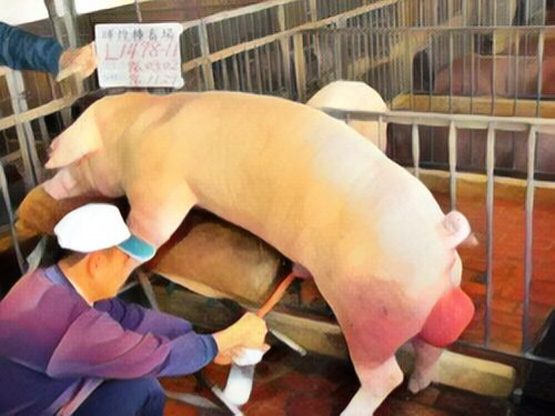 眼前的苟且